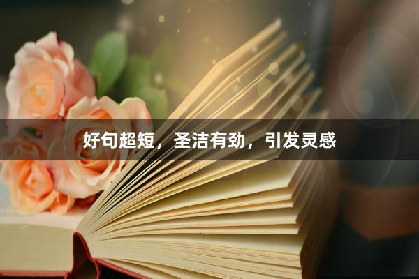 好句超短，圣洁有劲，引发灵感